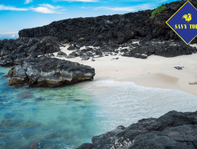 Tour Lý Sơn 2 ngày 1 đêm từ TP HỒ CHÍ MINH