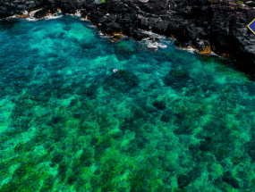 Tour Lý Sơn 2 ngày 1 đêm từ QUẢNG NGÃI