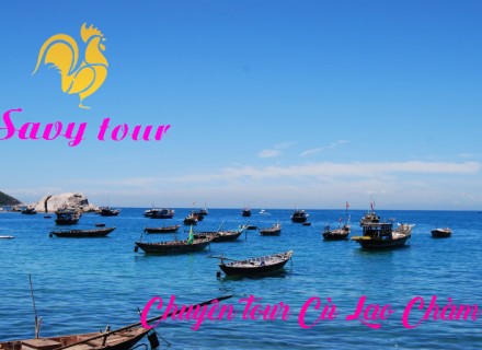 Tour Cù Lao Chàm 2 Ngày 1 Đêm Từ Đà Nẵng