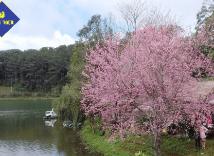 Tour Măng Đen - Gia Lai 2 ngày 1 đêm từ Quy Nhơn