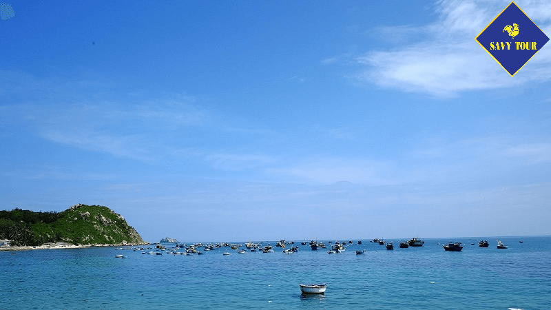 Tour Cù Lao Xanh từ Quy Nhơn