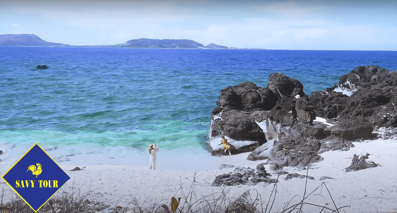 Tour Đảo Lý Sơn
