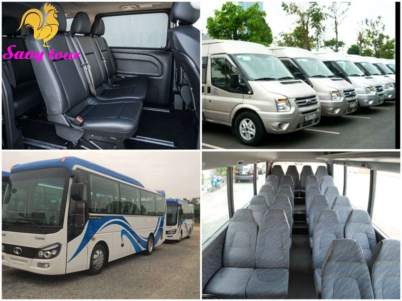 Xe đưa đón khách SAVYTOUR